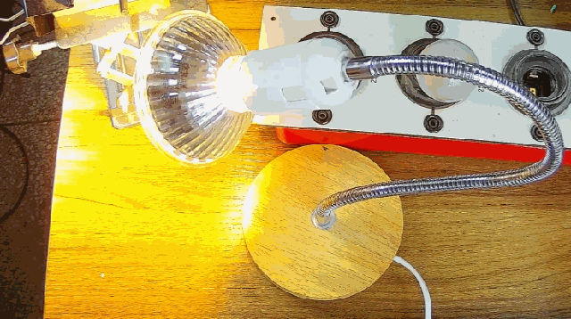 電燈泡內(nèi)通有交流電，為什么看不到燈泡在閃爍？